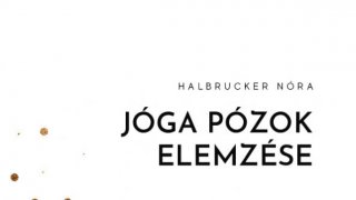 6. Jóga Pózok elemzése